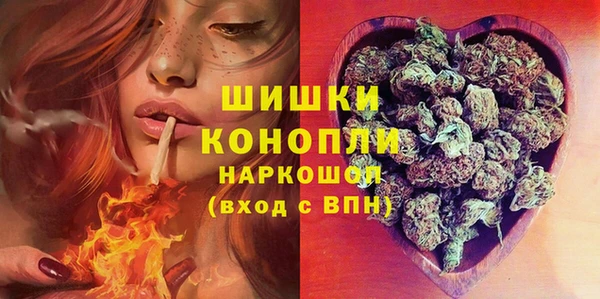 PSILOCYBIN Верхний Тагил