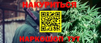 гашик Гусь-Хрустальный