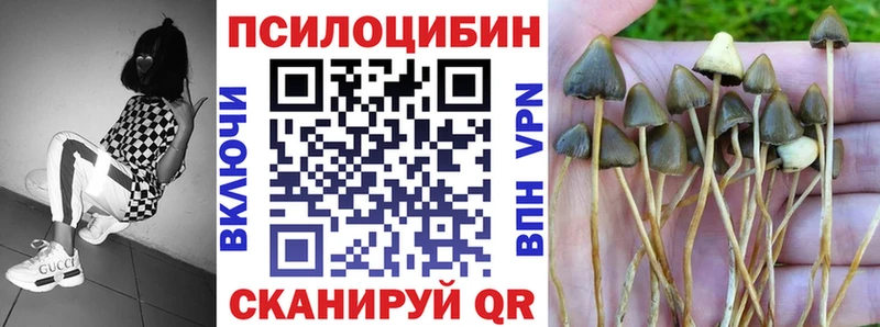 hydra зеркало  Карталы  Галлюциногенные грибы MAGIC MUSHROOMS 