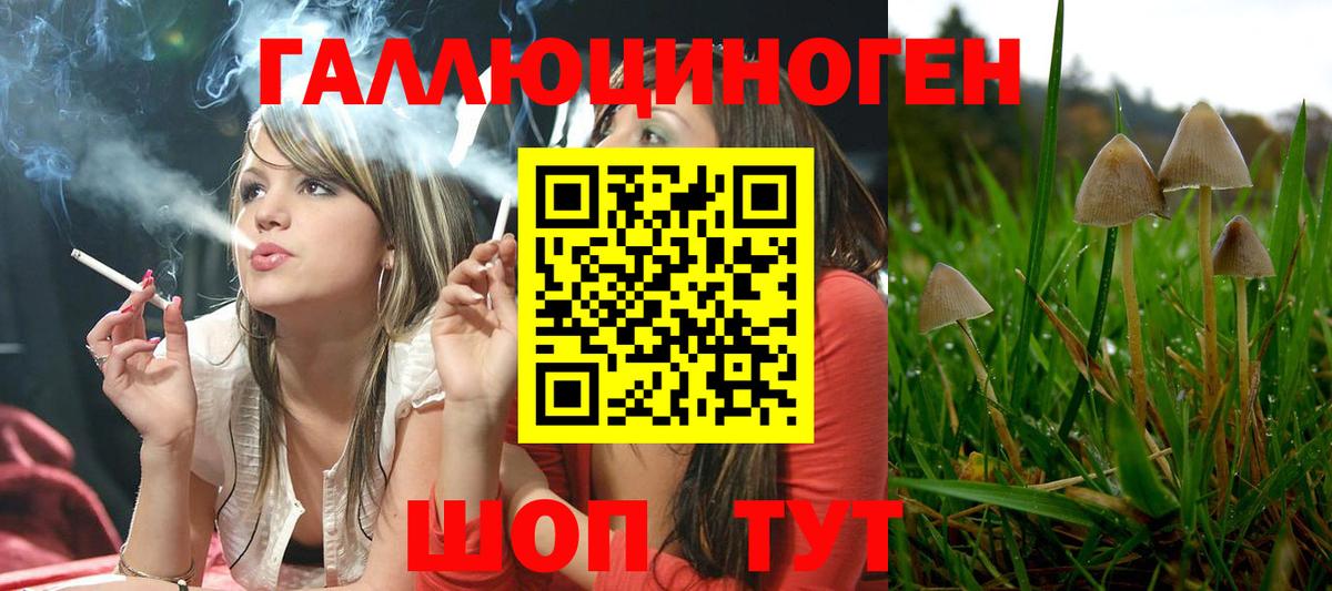 Карталы  Галлюциногенные грибы ЛСД  Вход с VPN 