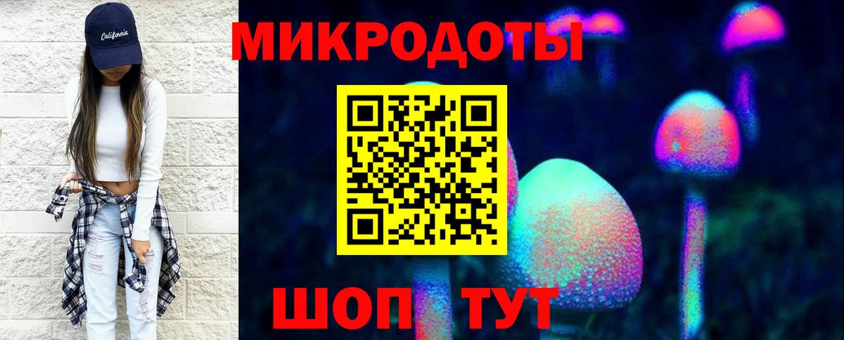 Галлюциногенные грибы Psilocybe Карталы